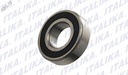 BALERO RADIAL BOLAS 6004-2RS