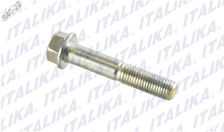 TORNILLO M10X55