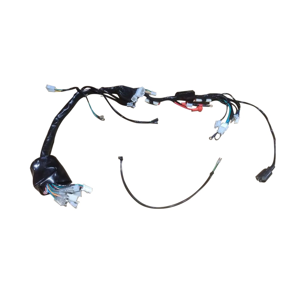 ARNES PRINCIPAL GPS
