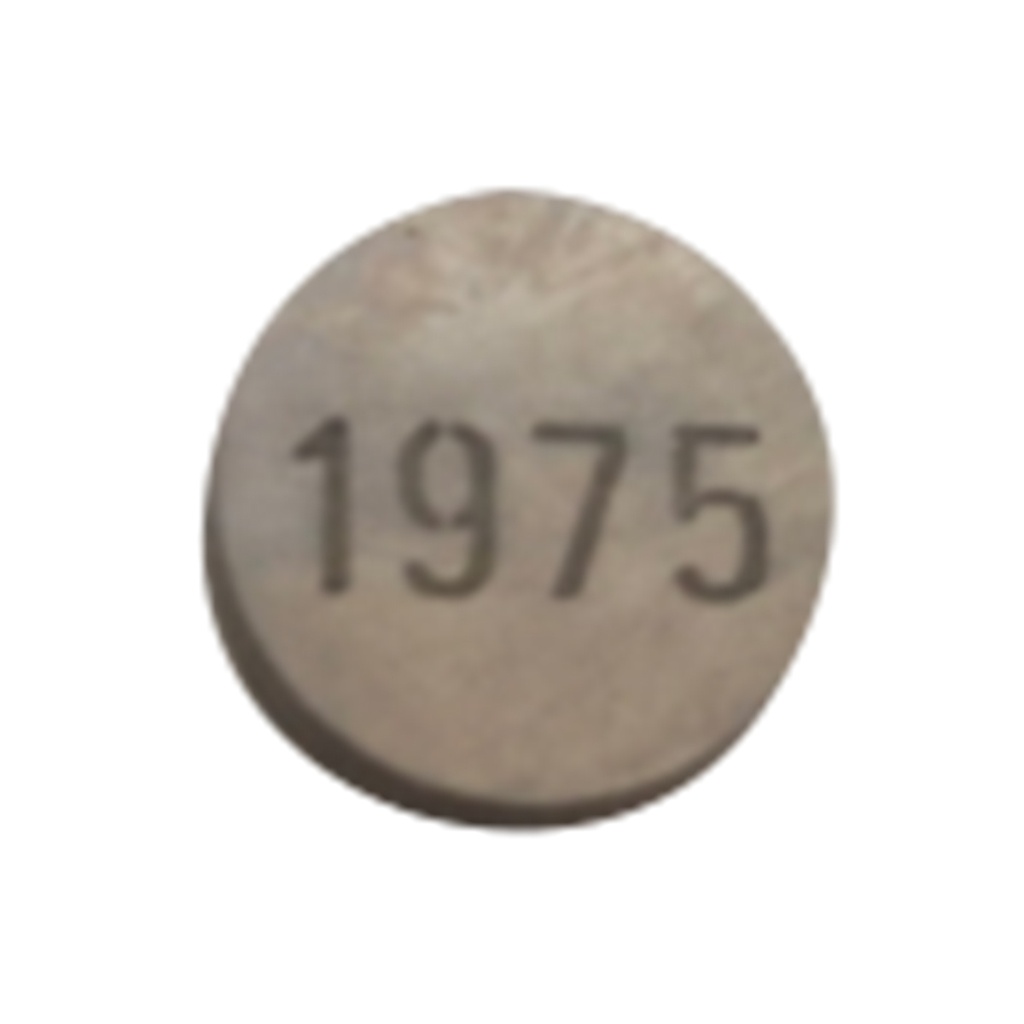 CALZA AJUSTE VALVULA 1975