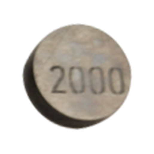 CALZA AJUSTE VALVULA 2000