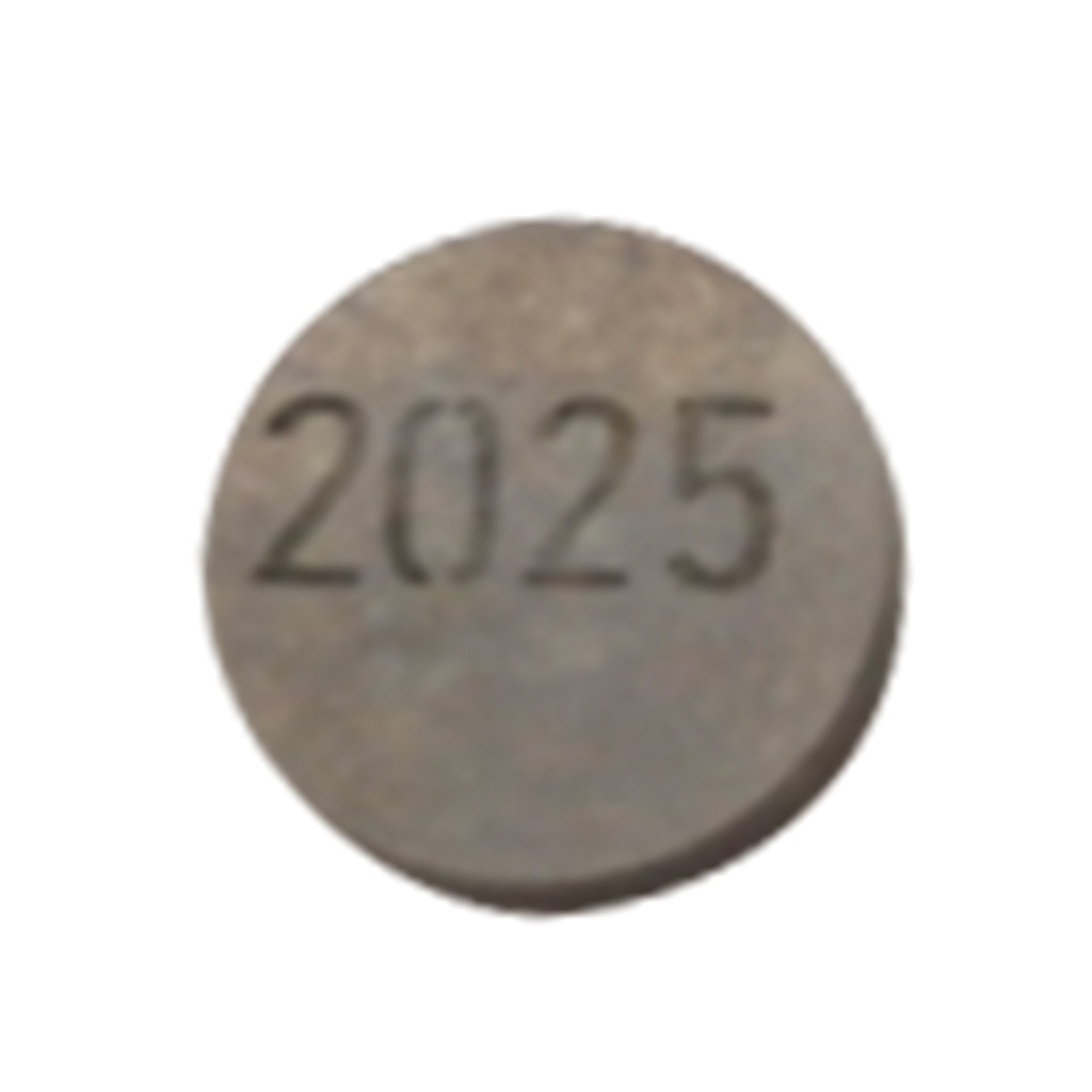 CALZA AJUSTE VALVULA 2025