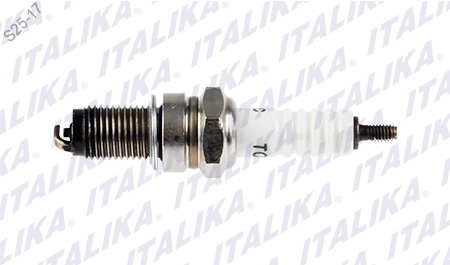 BUJIA D8TC