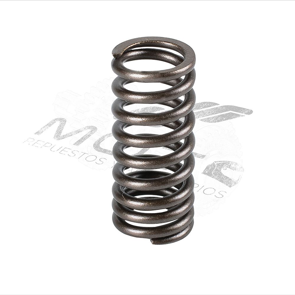 RESORTE INT. VALVULA ADMIS.