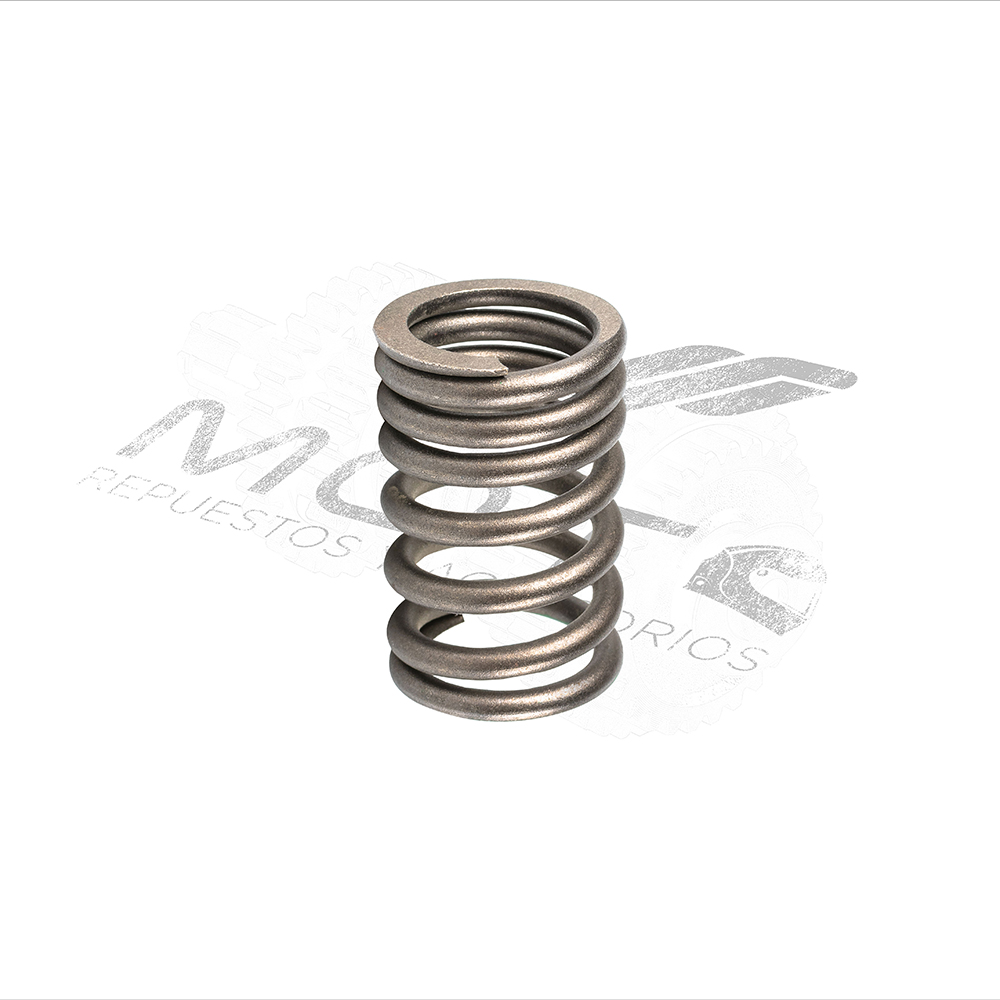 RESORTE EXTERNO VALVULA