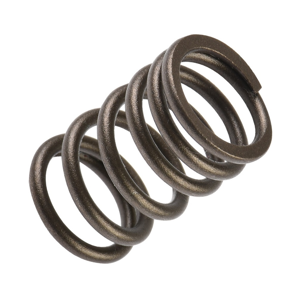 RESORTE EXTERNO VALVULA