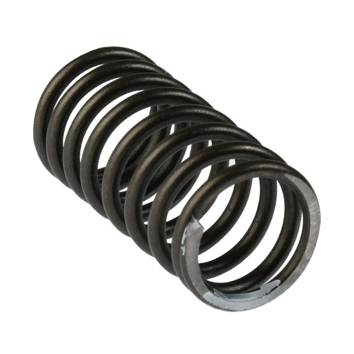 RESORTE INTERNO VALVULA