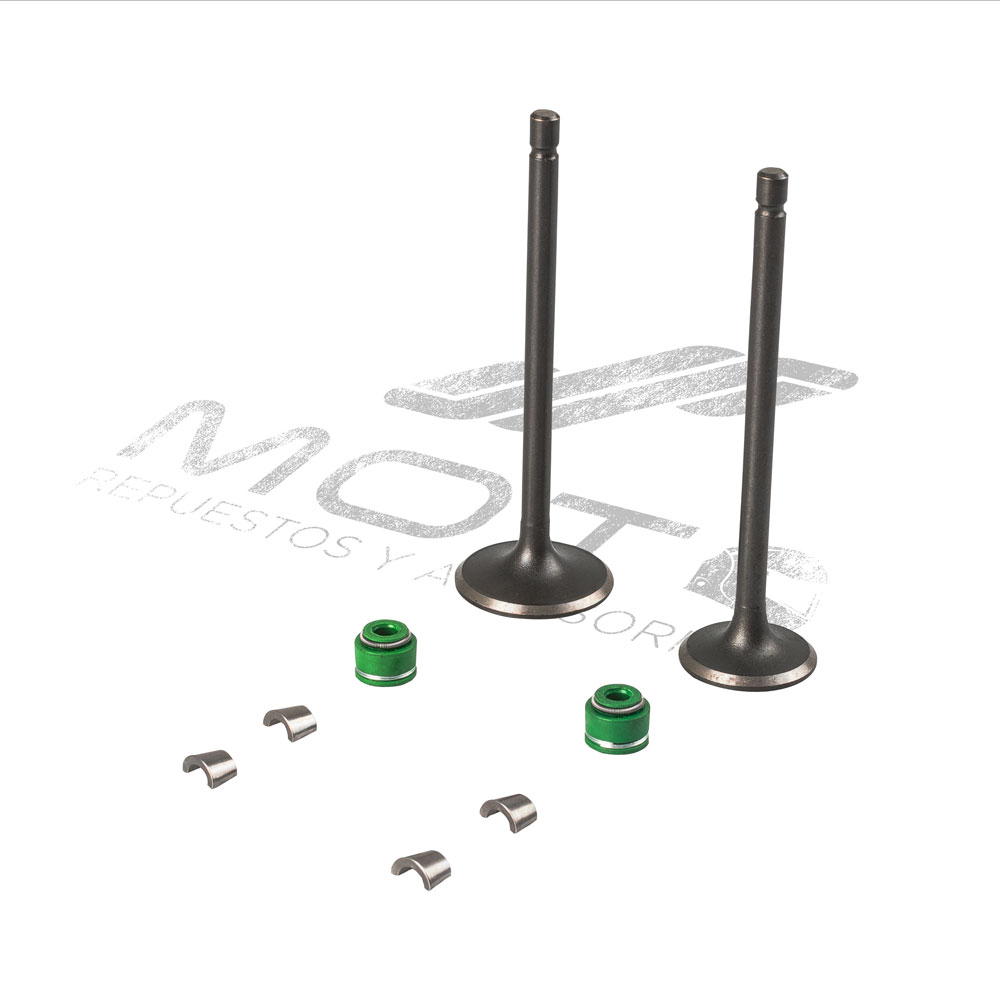 JUEGO VALVULAS MOTOR