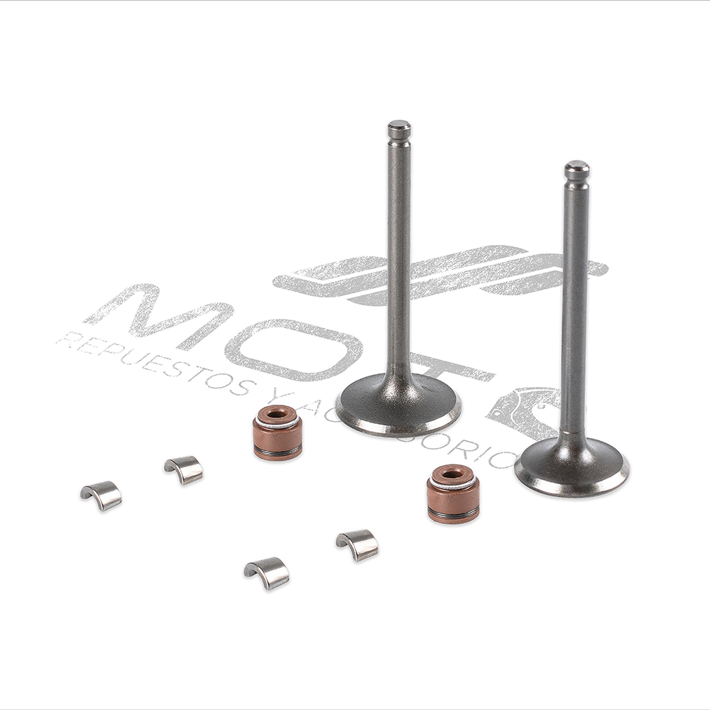 JUEGO VALVULAS MOTOR