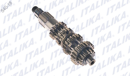 CONJUNTO PRIMARIO TRASMISION