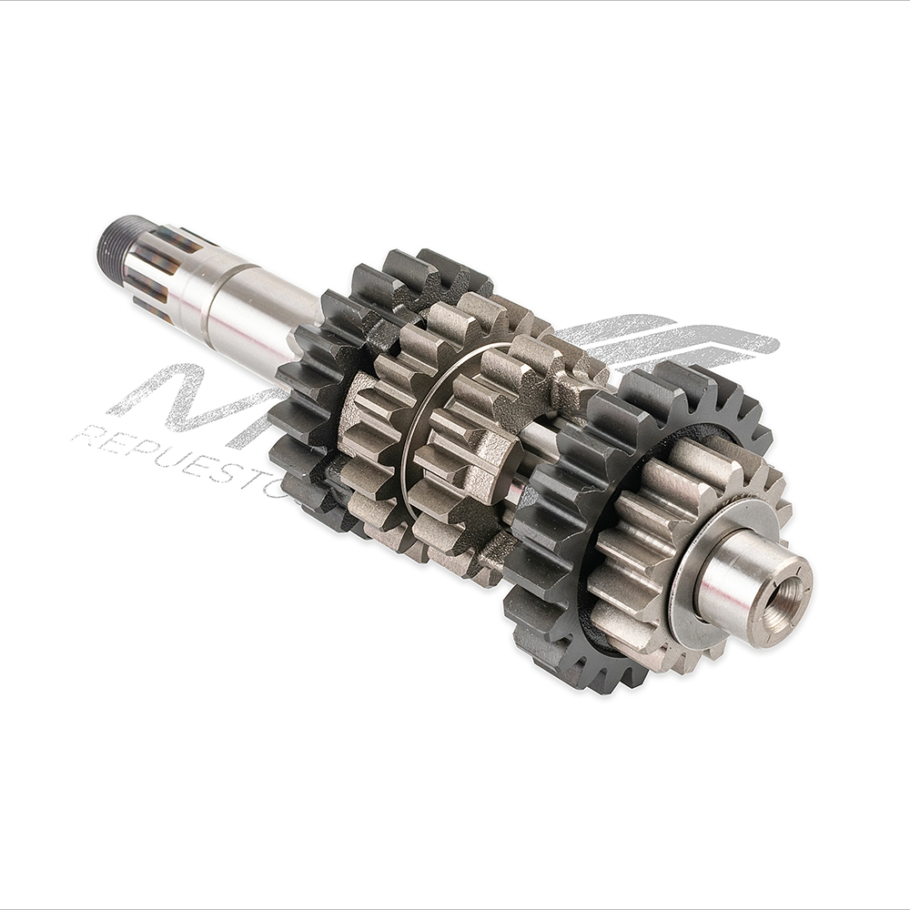 CONJUNTO PRIMARIO TRASMISION