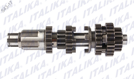 CONJUNTO PRIMARIO TRANSMISION