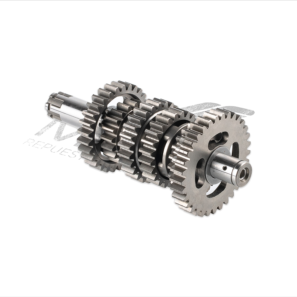 CONJUNTO SECUNDARIO TRANSMISION