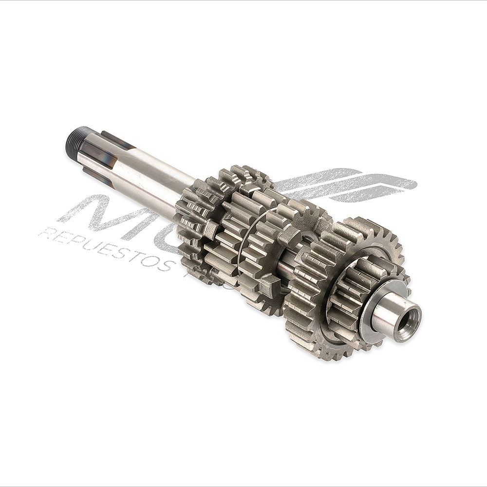 CONJUNTO PRIMARIO TRANSMISION