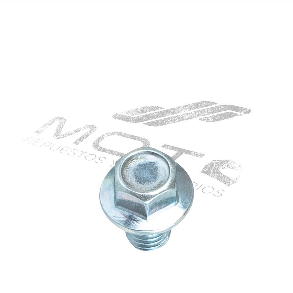 TORNILLO PLANO M8 *12