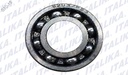 BALERO RADIAL BOLA 6203/P53