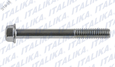 TORNILLO 6M*50