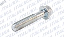 TORNILLO 6M*28