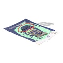 JUEGO JUNTAS PARA MOTOR