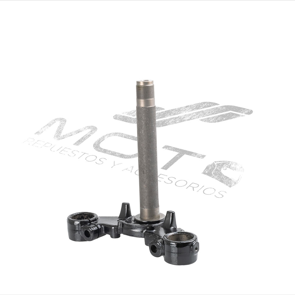 TELESCOPIO DIRECCION