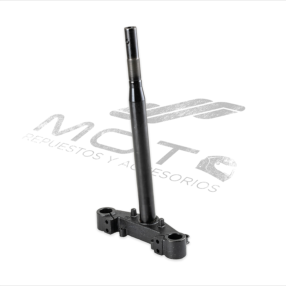 TELESCOPIO DIRECCION