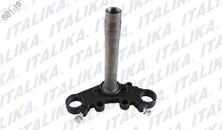 TELESCOPIO DIRECCION