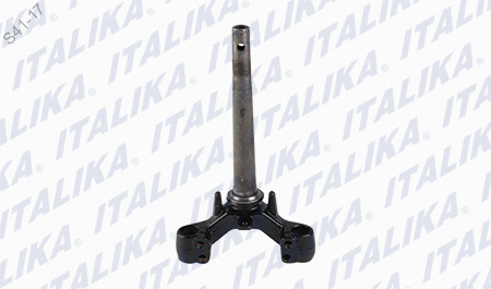 TELESCOPIO DIRECCIÓN