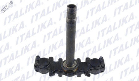 TELESCOPIO DIRECCION