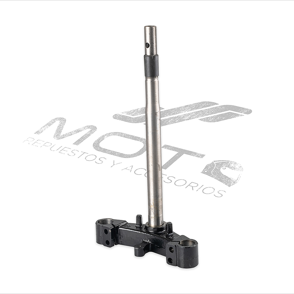 TELESCOPIO DIRECCION