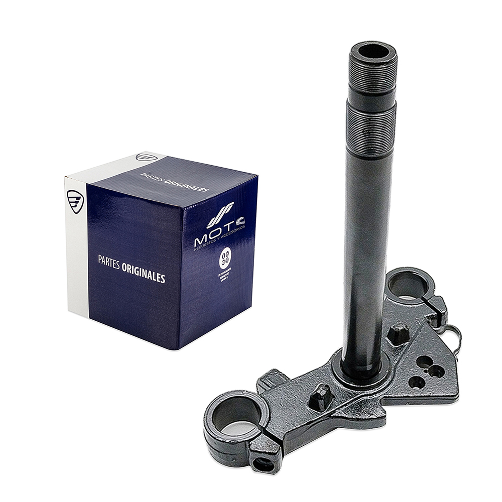 TELESCOPIO DIRECCION