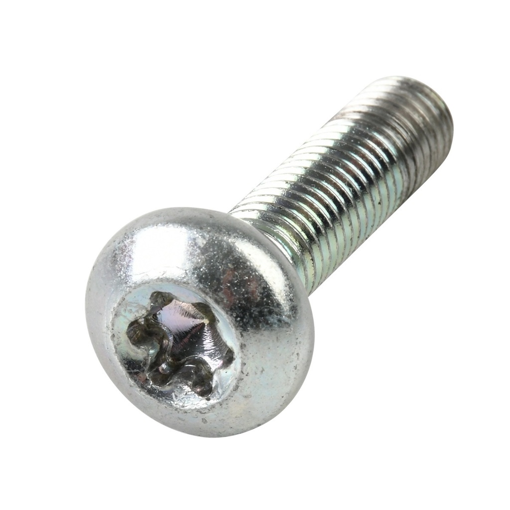 TORNILLO AMORTIGUADOR TRAS M10X40