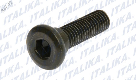 TORNILLO PLANO M8×30 ALLEN