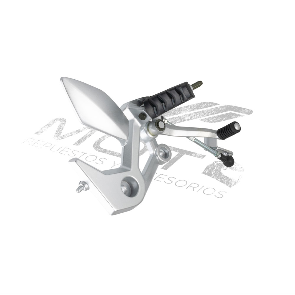 CONJUNTO POSAPIE DEL IZQ