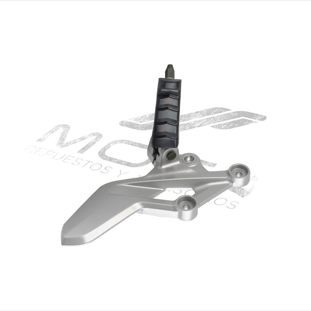 CONJUNTO POSAPIE DEL IZQ