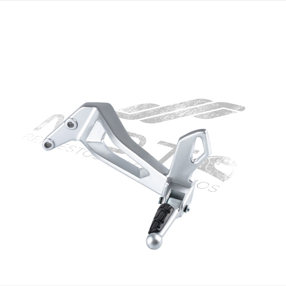 CONJUNTO POSAPIE TRAS IZQ