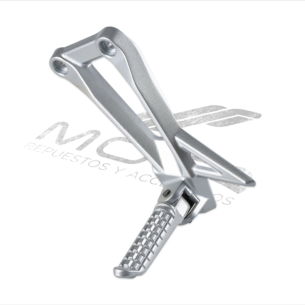 CONJUNTO POSAPIE TRAS IZQ