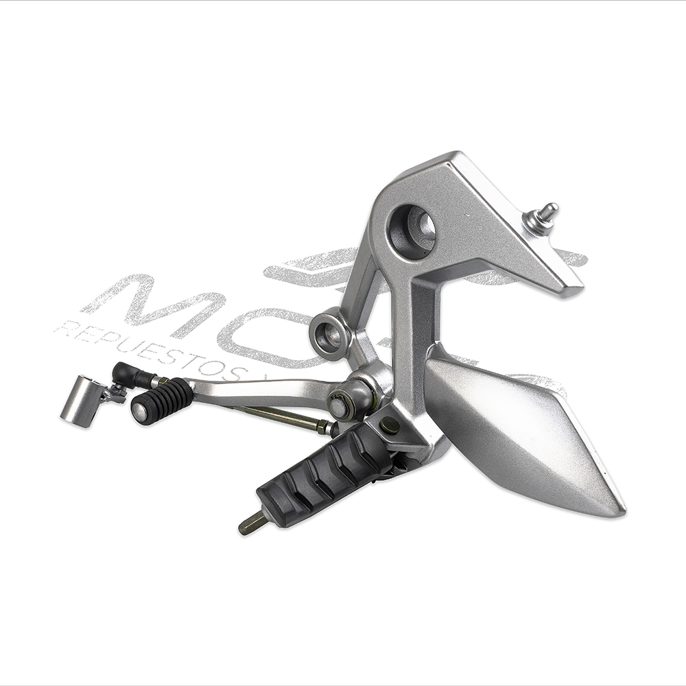 CONJUNTO POSAPIE DEL IZQ