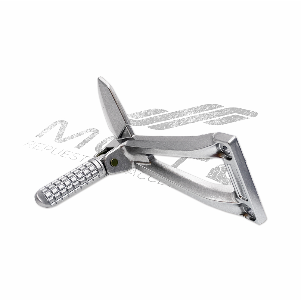 CONJUNTO POSAPIE TRAS DER