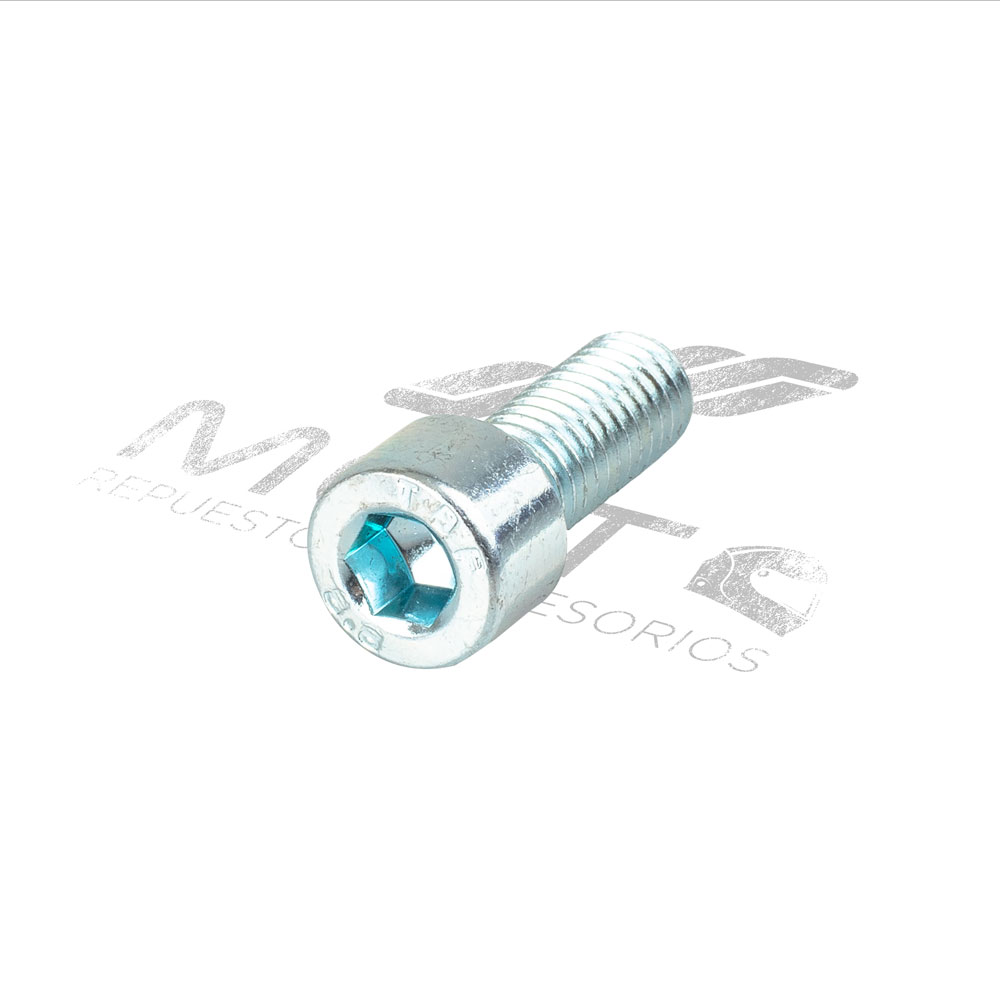 TORNILLO M8X20