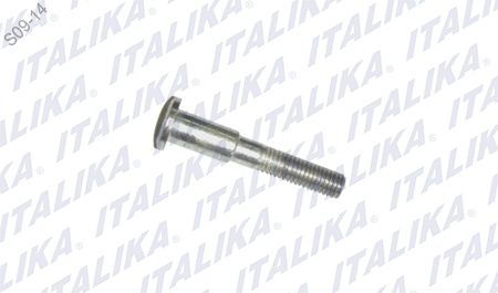 TORNILLO HEXAGONAL M8X55