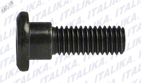 TORNILLO DISCO DE FRENO M8 X25