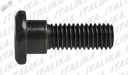 TORNILLO DISCO DE FRENO M8 X25