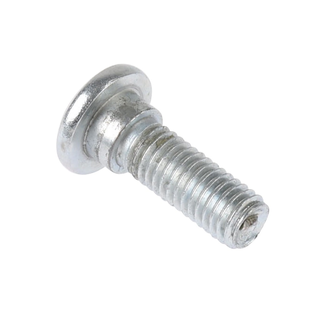 TORNILLO DISCO FRENO M8X25