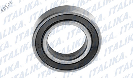 BALERO RADIAL BOLA 6007-2RS