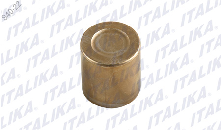 [C15040028] PISTON CALIPER TRAS