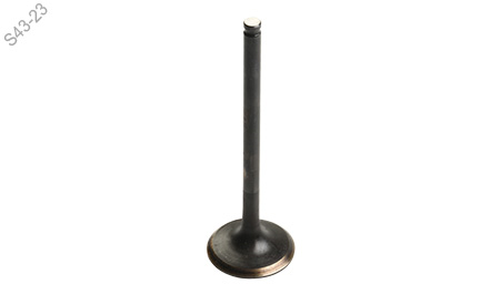 [M04050005] VALVULA ESCAPE