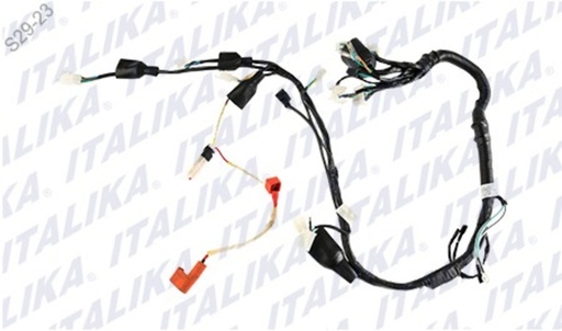 [F06050267] ARNES PRINCIPAL