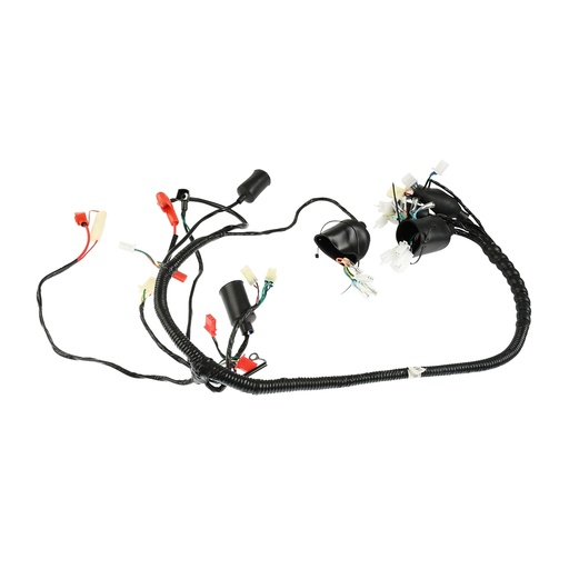 [F06050272] ARNES PRINCIPAL