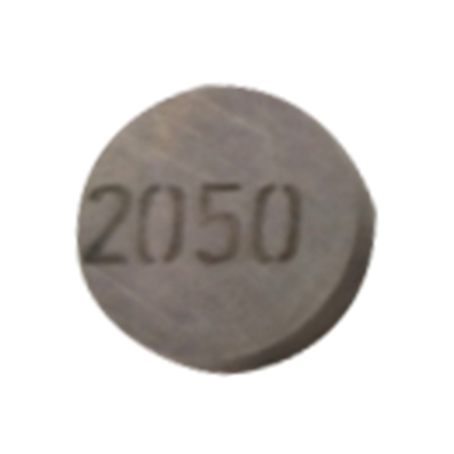 [E04050145] CALZA AJUSTE VALVULA 2050