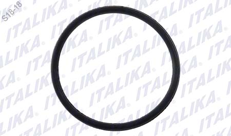 [E02030126] O-RING